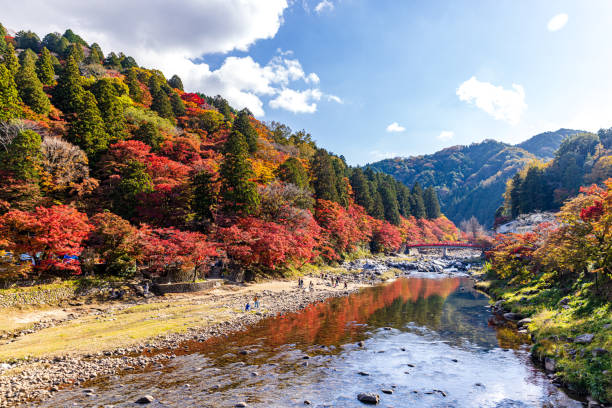 istock Autumn leaves in Korankei, Aichi Prefecture 2177625463