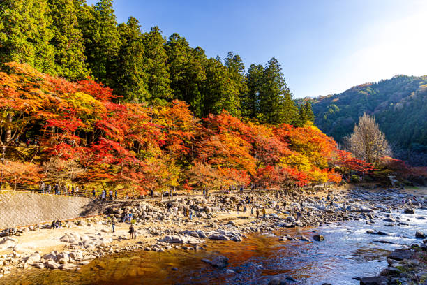 istock Autumn leaves in Korankei, Aichi Prefecture 2177626659