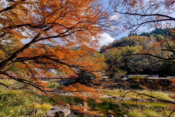 istock Autumn leaves in Korankei, Aichi Prefecture 2177626968