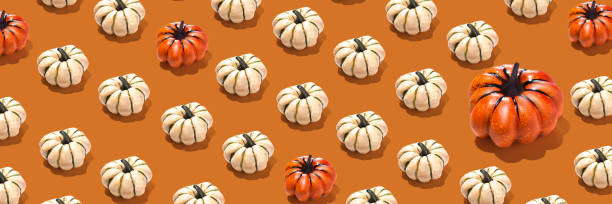 istock Pattern of orange and white pumpkins with one big pumpkin on orange background. long horizontal wallpaper banner, ornament 2177628599