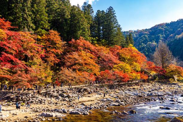 istock Autumn leaves in Korankei, Aichi Prefecture 2177628953