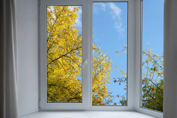 istock View from the window, yellow trees, landscape with autumn forest. 2177629482