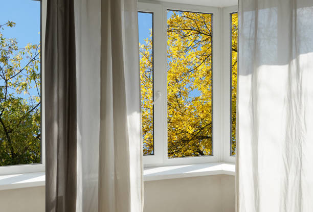 istock View from the window, yellow trees, landscape with autumn forest. 2177629489