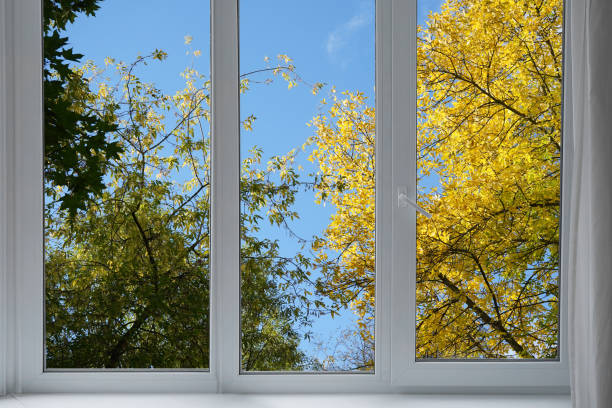 istock View from the window, yellow trees, landscape with autumn forest. 2177629496