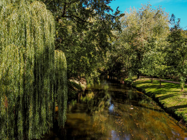 river in the park in the rays of the autumn sun
