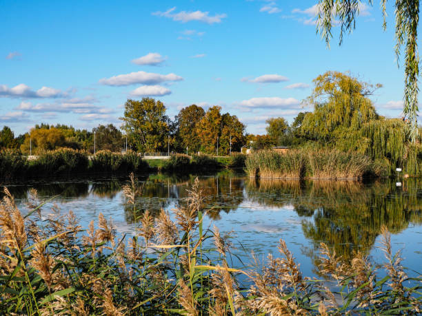 istock Park  in autumn colors 2177633864