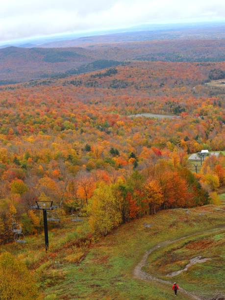 istock Autumn color in Canada 2177637153