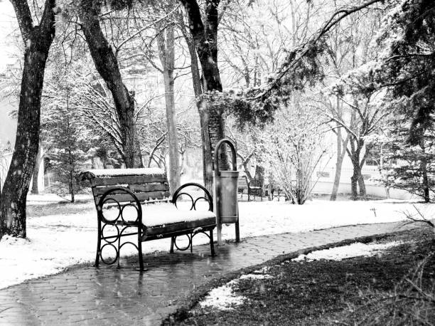 A bench in the park is under snow in winter. Black and White