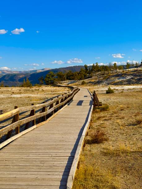 istock Mammoth Hot Springs, Wyoming 2177637737