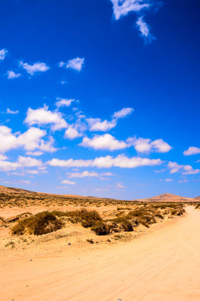 istock A desert landscape with a clear blue sky 2177645625