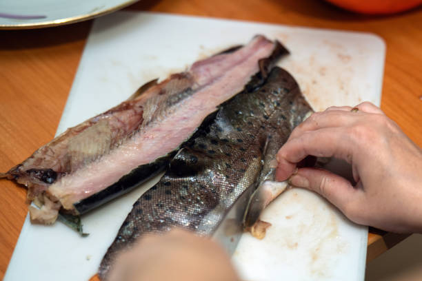 istock woman's hands meticulously clean a fish, deftly cutting off its fins. This intimate act showcases skill, tradition, and a deep connection to food preparation 2177646495