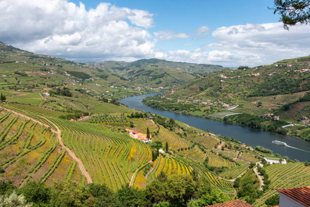 istock Quaint Douro valley with terraced vineyards at Imaginario viewpoint 2177649229