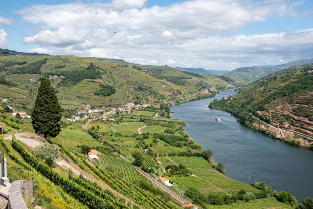 istock Quaint Douro valley with terraced vineyards at Imaginario viewpoint 2177649272