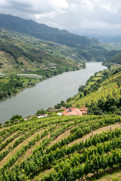 istock Quaint Douro valley with terraced vineyards at Imaginario viewpoint 2177649418
