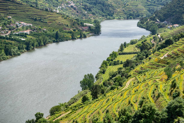 istock Quaint Douro valley with terraced vineyards at Imaginario viewpoint 2177649455