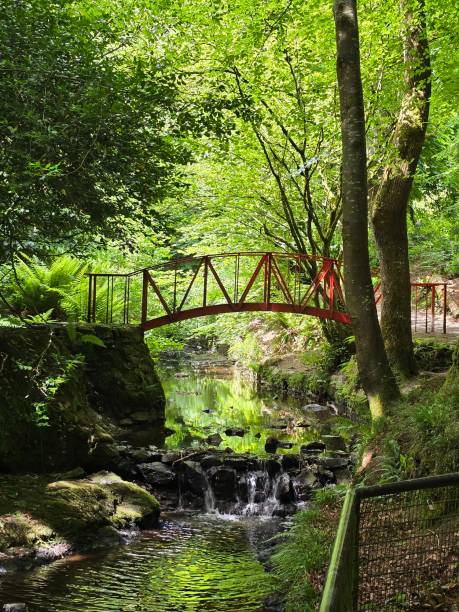 istock Bridge over Stream At Gosford Park, 2177652450