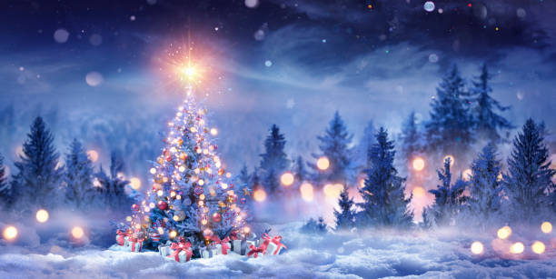 Christmas Tree On Snow In Night With Shiny Star And Gift Boxes In Winter Forest - Winter Abstract Landscape