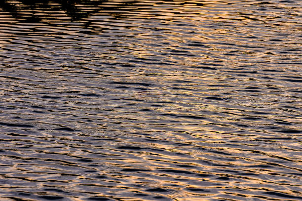 istock The water is calm and still, with ripples in the surface 2177655658