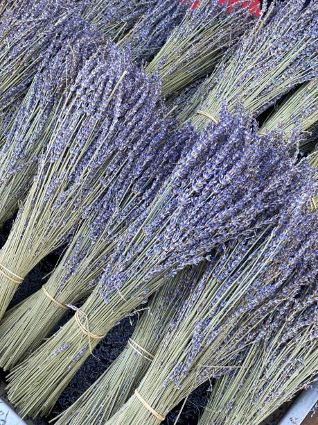 istock Closeup Image of Lavender Bunches on a Market Fair Table 2177660185