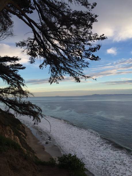 istock Channel Island view from Wilcox Property Preserve 2177661404