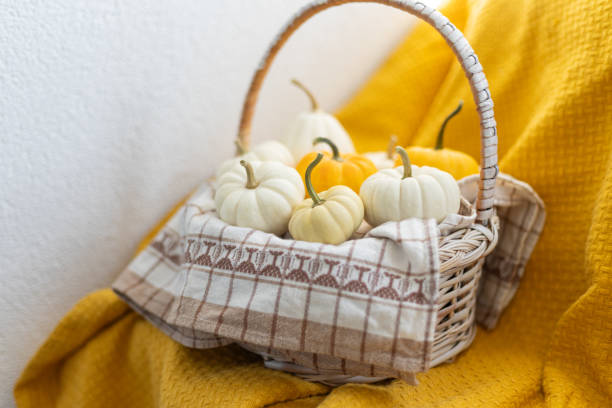 small pumpkins in a basket on a yellow blanket. Autumn concept