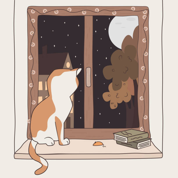 istock cute hand drawn card with cartoon white and orange cat at the window in a starry night flat vector illustration 2177662562