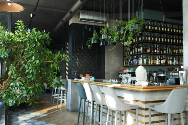 istock Long wooden bar counter with bar stools and green plants 2177664342