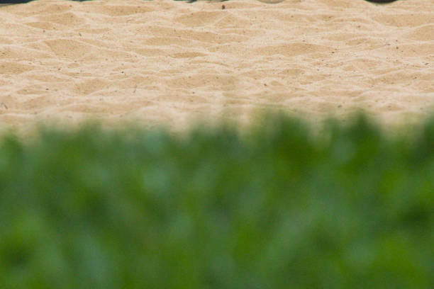 A sandy beach with a green grassy area in the foreground. The grass is partially visible in the background