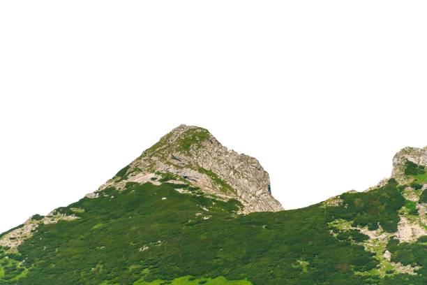 istock Green mountains in summer isolated on white background. 2177668362