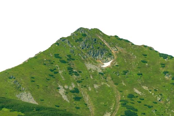 istock Green mountains in summer isolated on white background. 2177668370