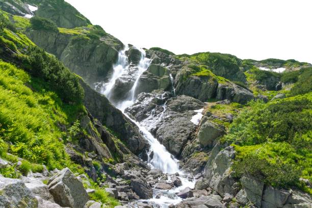 Waterfall in summer in mountains isolated on white background. Tatras.