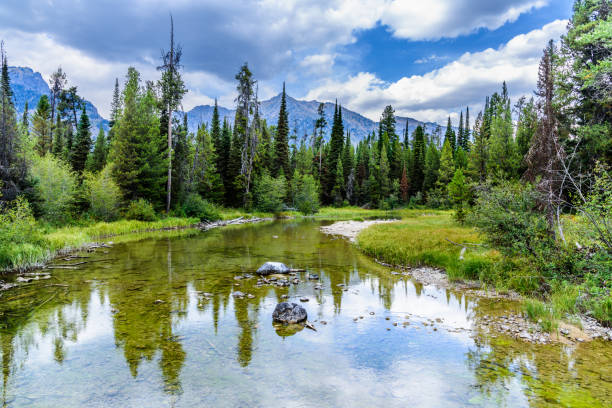 istock Lake Creek and the Teton Range 2177669645