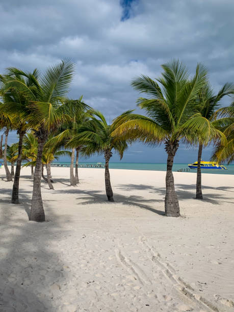 istock Palm Trees On White Sand In Bahamas 2177675605