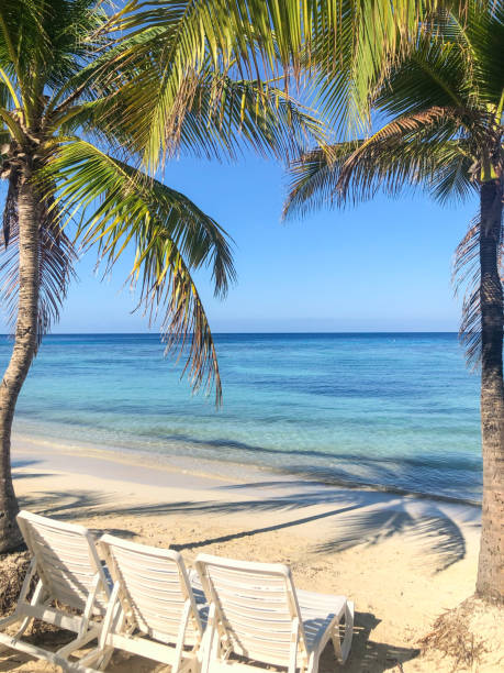 istock Beach Chairs With Palm Tree In Caribbean 2177675634