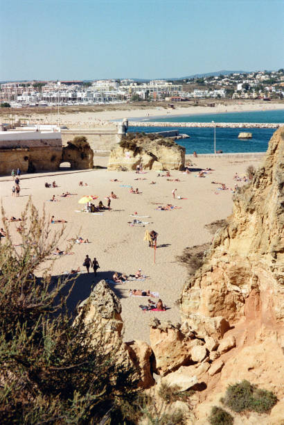 istock Sunbathers Enjoying the Beach 2177675716