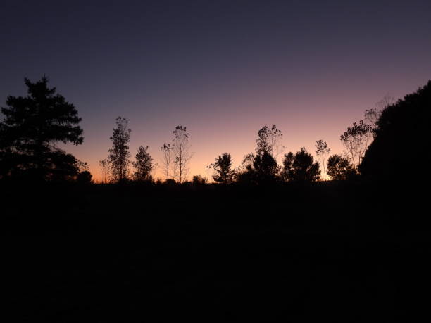 istock Rural Sunset in Michigan over Forest 2177679150