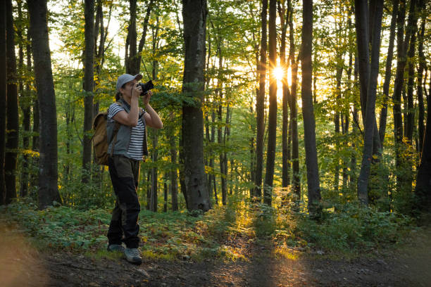 istock Birding in Lush Green Forest at Sunset. Mental Wellbeing 2177681053