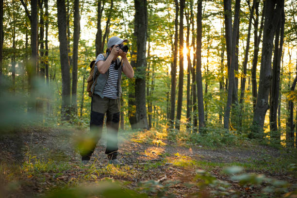 istock Birding in Lush Green Forest at Sunset. Mental Wellbeing 2177681073