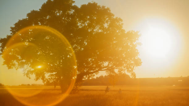 An adult woman and a young girl enjoy swinging together on a tree swing during a serene sunset, surrounded by a peaceful outdoor setting.