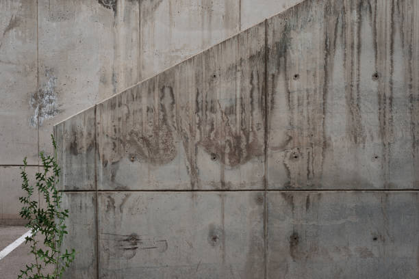 istock Concrete Wall Textured Surface with Plant on Foreground for Wallpaper Background. 2177688151