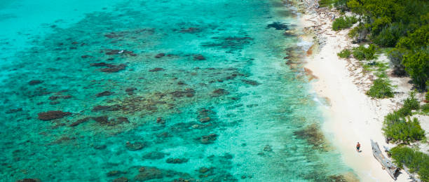 istock Catalina beach crystal clear sea and one people walk alone 2177690201
