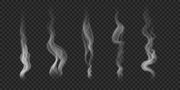 illustrazioni stock, clip art, cartoni animati e icone di tendenza di vector realistico ondulato сigarette fumo, vapore, nebbia, foschia, nebbia profumata. - fumo di sigaretta elettronica