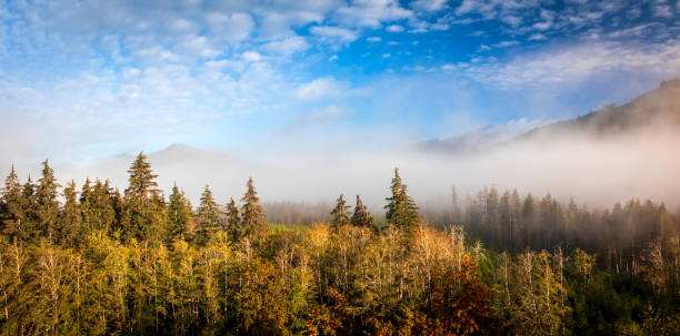 Atmospheric autumn morning in Lapland, Finland. Mist from the sunrise glows in golden tones above a calm lake with Ylläs peaks in the distance. A tranquil and scenic Nordic landscape full of seasonal colors and natural beauty.