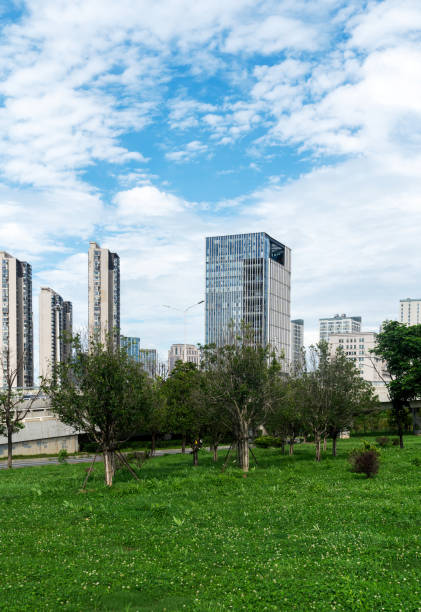 istock city park with modern building background in shanghai 2177695494
