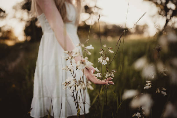Young girl in dress outdoors in summer in field of flowers at sunset
