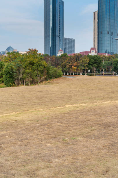 istock city park with modern building background in shanghai 2177697584