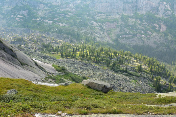 A top-down look at a valley sandwiched between two mountains with sparse cedars and a scattering of huge stones. Kurumnik Suitcases, Ergaki Natural Park, Krasnoyarsk region, Siberia, Russia.