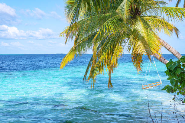 istock Swing hanging from palm tree on tropical beach by the sea 2177702111