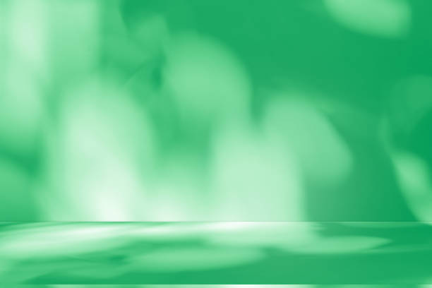 istock Wall interior background, studio and backdrops show products.with shadow from window color green . background for text insertion and presentation product 2177704590