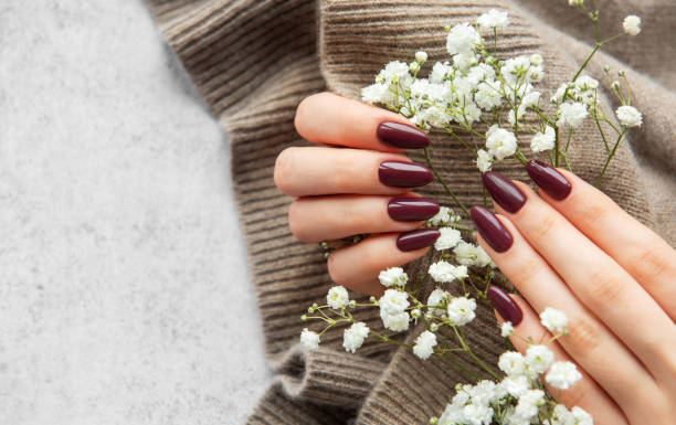 Elegant deep burgundy nails displayed alongside delicate white flowers on a cozy knit sweater backdrop
